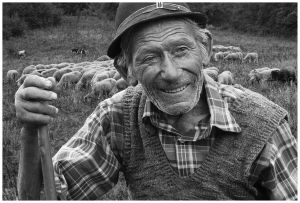 Birkapásztor (2010)