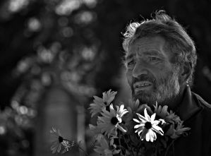 Emlékezés virágai