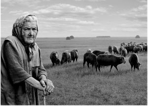 Beletörődve a sorsba