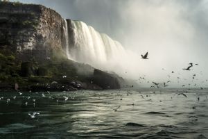 Niagara